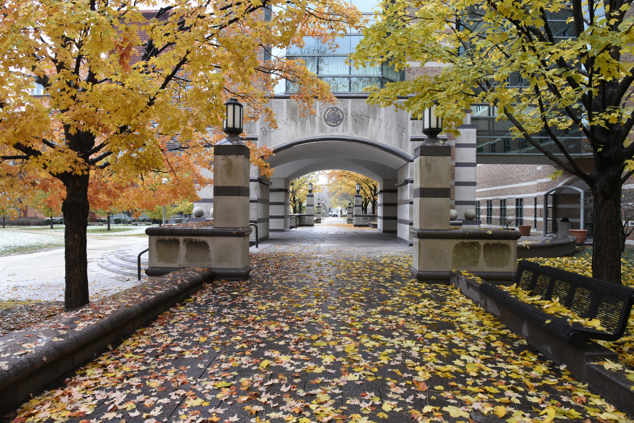 The Beckman Institute entrance with fall leaves.